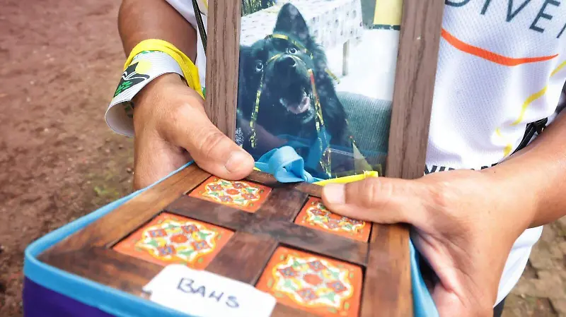 Cenizas del perrito Bahs